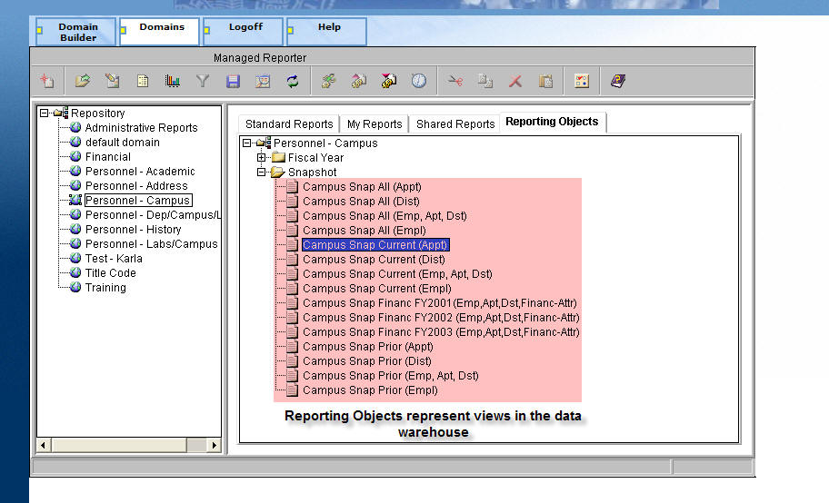 Report Objects represent views in the data warehouse